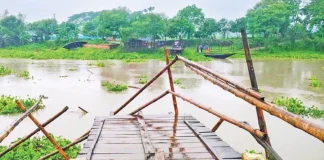 সাগরদাঁড়ীর কাঠের সেতু ফের ভাঙল