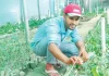 চুইঝালে নবদ্বীপের নতুন জীবন