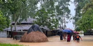 পাহাড়ি ঢলের স্রোতে ভেসে গিয়ে ২ শিশুর মৃত্যু