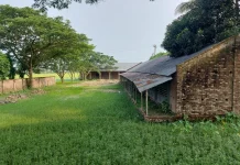 শালিখায় নামসর্বস্ব শিক্ষাপ্রতিষ্ঠানে দেড় কোটি টাকার বরাদ্দ