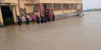 হাঁটুসমান পানি মাড়িয়ে স্কুলে যায় শিশুরা
