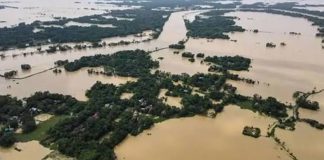 বৃষ্টি ও বন্যায় প্রাণহানি বেড়ে ৫১