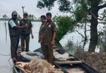 নিষেধাজ্ঞা অমান্য করে সুন্দরবনে প্রবেশ: এক মাসে ২৬ মামলা, ২৪ নৌকা জব্দ
