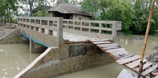 ৩৩ লাখ টাকার সেতুতে নেই সংযোগ সড়ক, ভোগান্তিতে ৫ গ্রামের মানুষ