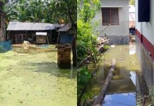 বেড়িবাঁধ ধসে নতুন করে প্লাবিত ৫ গ্রাম, পানিবন্দি লক্ষাধিক মানুষ