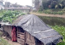 পোকামাকড়ের সঙ্গে খুপরি ঘরে বসবাস জোহরা দম্পতির