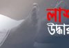 খুলনায় বাসের টিকিট কালেক্টরের অর্ধগলিত মরদেহ উদ্ধার