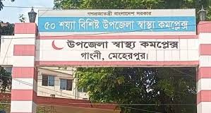 গাংনীতে আবারও পাগলা কুকুরের কামড়ে আহত ২০