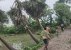 নড়াইলে ২ কিলোমিটার কাঁচা রাস্তায় চার গ্রামের মানুষ জিম্মি