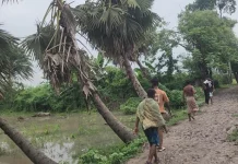 নড়াইলে ২ কিলোমিটার কাঁচা রাস্তায় চার গ্রামের মানুষ জিম্মি