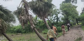 নড়াইলে ২ কিলোমিটার কাঁচা রাস্তায় চার গ্রামের মানুষ জিম্মি