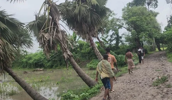 narail-road-2607160732