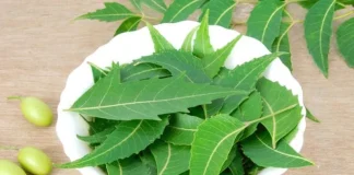 বর্ষায় গোসলের পানিতে নিমপাতা মেশানোর যত উপকার