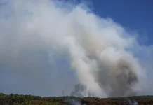 ইউরোপের দাবানলে নতুন আতঙ্কের নাম ‘ফায়ার ক্লাউড’