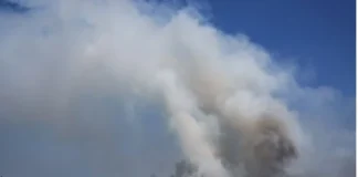 ইউরোপের দাবানলে নতুন আতঙ্কের নাম ‘ফায়ার ক্লাউড’