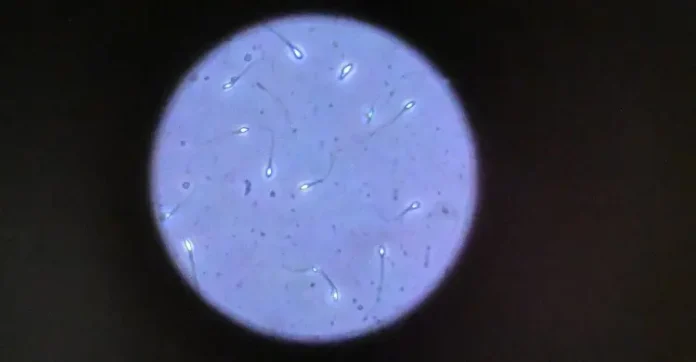 sperm-mr7nm3jtr7hh7fl-20260705163649
