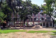 স্কুলে ছাত্রী ও যুবককে গাছে বেঁধে নির্যাতন, অপমানে ছাত্রীর আত্মহত্যার চেষ্টা