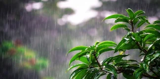 দেশজুড়ে আগামী ২ দিন ভারী বর্ষণের আভাস