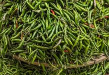 কাঁচামরিচ আমদানির অনুমতি দিল সরকার