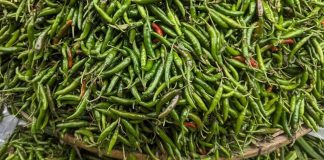 কাঁচামরিচ আমদানির অনুমতি দিল সরকার