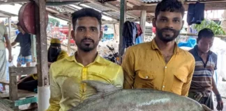 সাগরে ধরা ৫৪ কেজির ‘ট্রেভ্যালি’, ভালো লক্ষণ দেখছেন কর্মকর্তারা