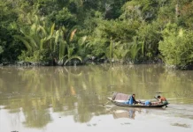 পূর্ব সুন্দরবনে ট্রলারসহ ৫ জেলেকে অপহরণের অভিযোগ