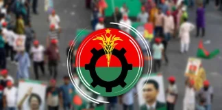 রাষ্ট্রপতি নির্বাচনের পর দল পুনর্গঠনের উদ্যোগ বিএনপি