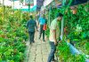 খুলনার বৃক্ষমেলায় কোটি টাকার চারা বিক্রি: ক্রেতাদের চোখ এখন দুর্লভ ও বিদেশি ফল গাছে