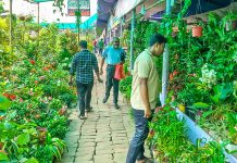 খুলনার বৃক্ষমেলায় কোটি টাকার চারা বিক্রি: ক্রেতাদের চোখ এখন দুর্লভ ও বিদেশি ফল গাছে