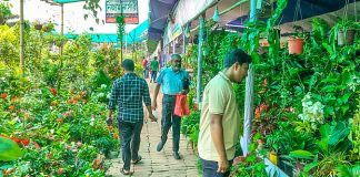 খুলনার বৃক্ষমেলায় কোটি টাকার চারা বিক্রি: ক্রেতাদের চোখ এখন দুর্লভ ও বিদেশি ফল গাছে