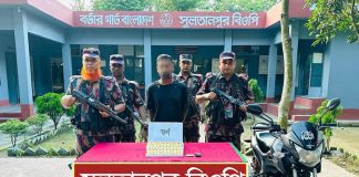 ভারতে পাচারকালে সাড়ে ১৩ কোটি টাকার স্বর্ণের বারসহ আটক ১
