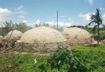 নবগঙ্গা নদীর তীরে ১০ অবৈধ কয়লা চুল্লি: নড়াইলে পরিবেশ ও জনস্বাস্থ্য চরম হুমকির মুখে