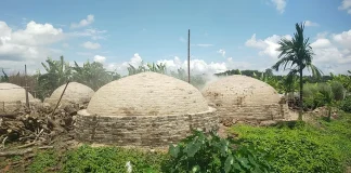 নবগঙ্গা নদীর তীরে ১০ অবৈধ কয়লা চুল্লি: নড়াইলে পরিবেশ ও জনস্বাস্থ্য চরম হুমকির মুখে