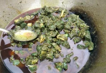 খুলনার সেই ‘সবুজ মাংস’ রহস্যের অবসান, ল্যাব রিপোর্টে মিলল কারণ