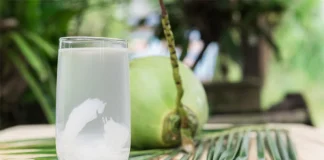 ডাবের পানি কতক্ষণ সতেজ থাকে? সংরক্ষণের টিপস