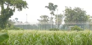 সীমান্তে বিএসএফ’র গুলিতে বাংলাদেশি যুবক আহত