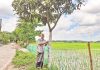 গাছ লাগানোই নেশা কোমলের