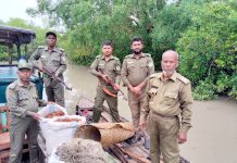 নিষেধাজ্ঞার মধ্যেও সুন্দরবনে মাছ শিকার, শুঁটকি-জাল-নৌকা জব্দ