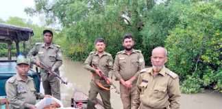 নিষেধাজ্ঞার মধ্যেও সুন্দরবনে মাছ শিকার, শুঁটকি-জাল-নৌকা জব্দ