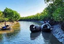 পূর্ব সুন্দরবনে ট্রলারসহ ৫ জেলেকে অপহরণের অভিযোগ