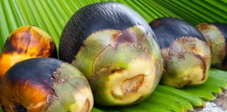 বাজারে উঠেছে তাল, খাওয়ার আগে যেসব বিষয় খেয়াল রাখবেন