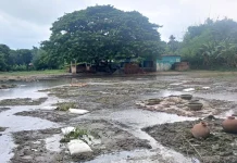 স্কুলমাঠে ডোবা, আতঙ্কে শিক্ষক-শিক্ষার্থীরা