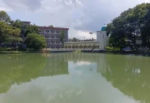 দুই টিনের ঘর থেকে ১২৪ বছরের বাতিঘর