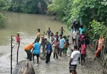 মুরগির খোপে কুণ্ডলী পাকিয়ে ছিল অজগর, ভয়ে সংজ্ঞা হারালেন গৃহিণী