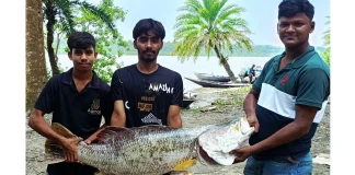 সুন্দরবনের জহুরুলের জালে ২০ কেজির কোরাল, বিক্রি ৩৬ হাজারে