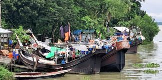 বৈরী আবহাওয়ায় সুন্দরবনসহ উপকূলে আশ্রয় নিল কয়েক শ ফিশিং বোট