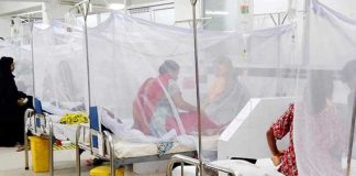 ডেঙ্গুতে আরও ৬ মৃত্যু