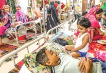 ডেঙ্গুতে আরও ৬ মৃত্যু, হাসপাতালে ভর্তি ১৯৪২