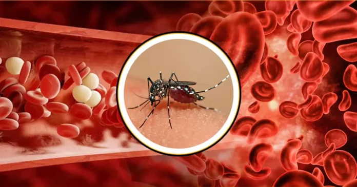 Dengue-Platelet-Count-BD-1-1200x630