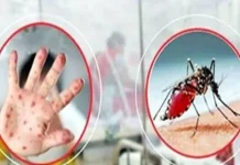 খুলনায় ডেঙ্গু ও হামের উপসর্গে ২ জনের মৃত্যু: ২৪ ঘণ্টায় হাসপাতালে ভর্তি ৪৪৯ রোগী